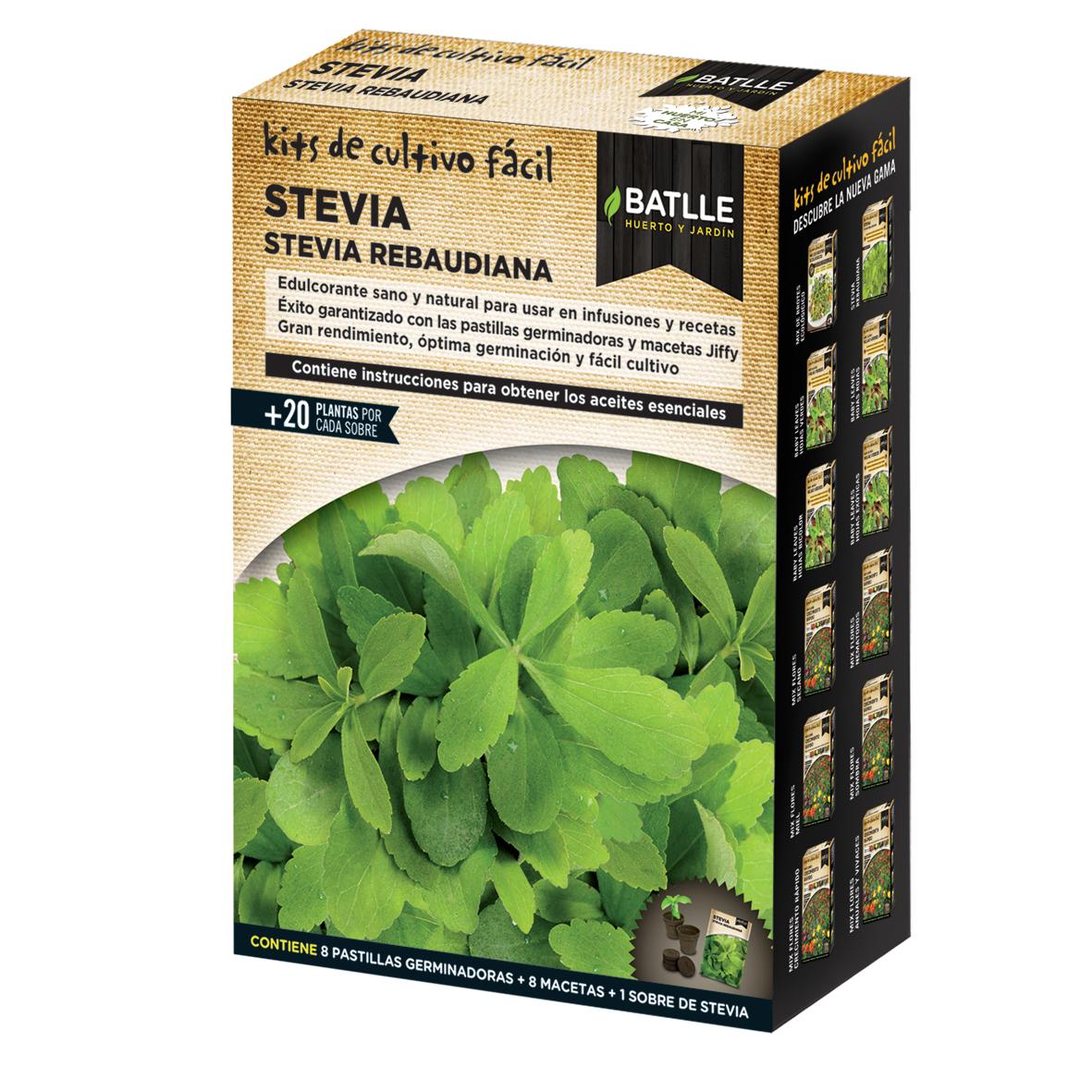 Stevia Rebaudiana Batlle Anbauset