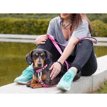 Obroża dla psa DOGTELLA Dukier L