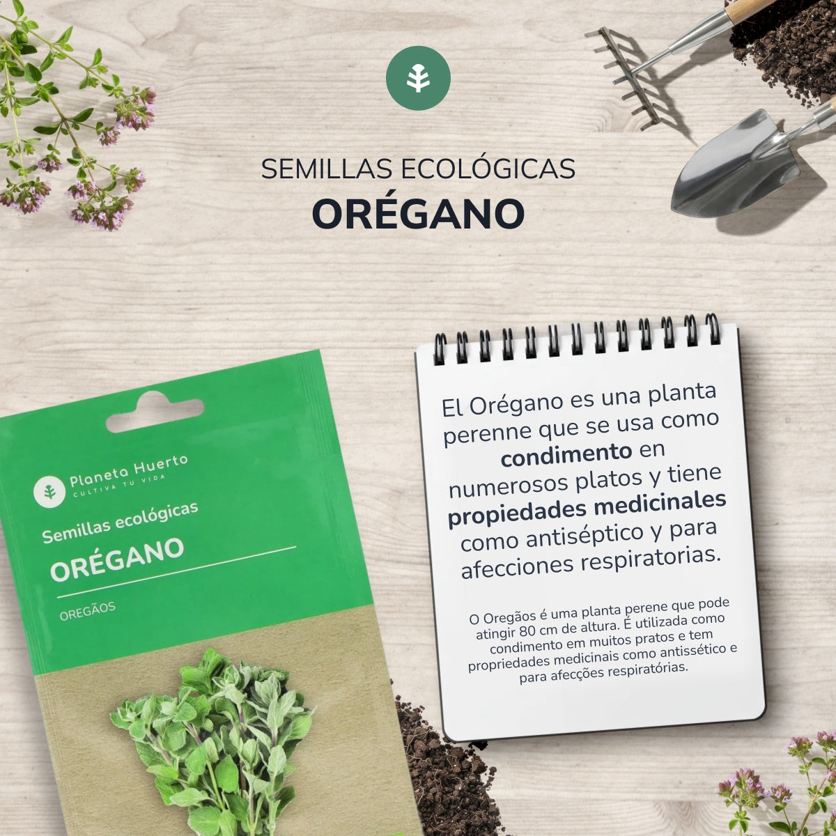 Semi di origano biologico Planeta Huerto