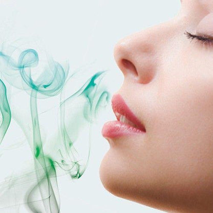 Fragancia césped artificial Nortene 750 ml