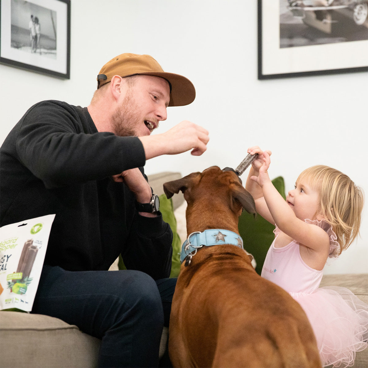 Doggy Dental dla dużych psów Jabłko i eukaliptus Edgard Cooper 7 pałeczek