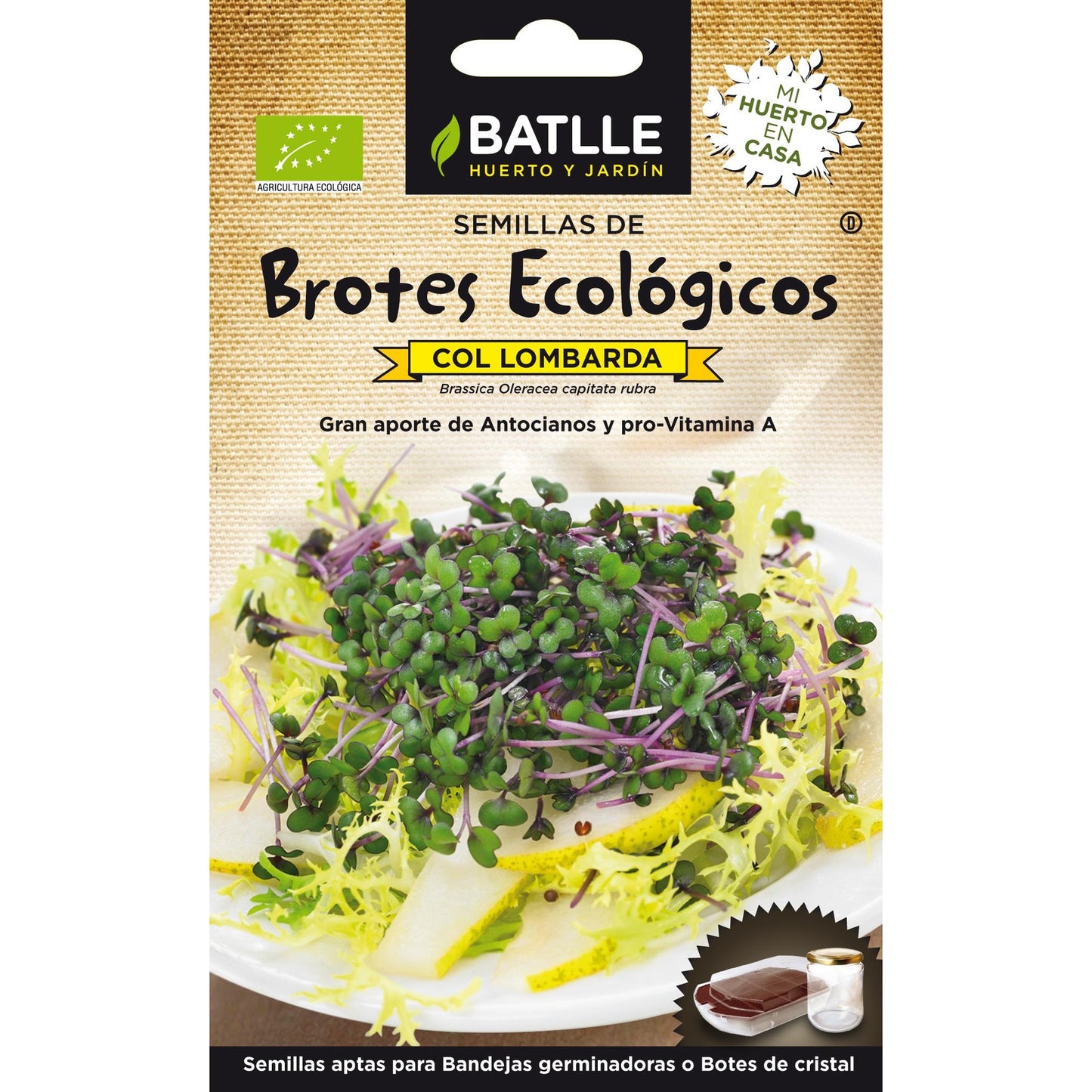 Ekologiska rödkålfrön för groddar Batlle