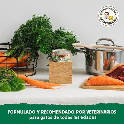 Dose BARF-Lachs und Rindfleisch für Katzen Wild Balance 120 g