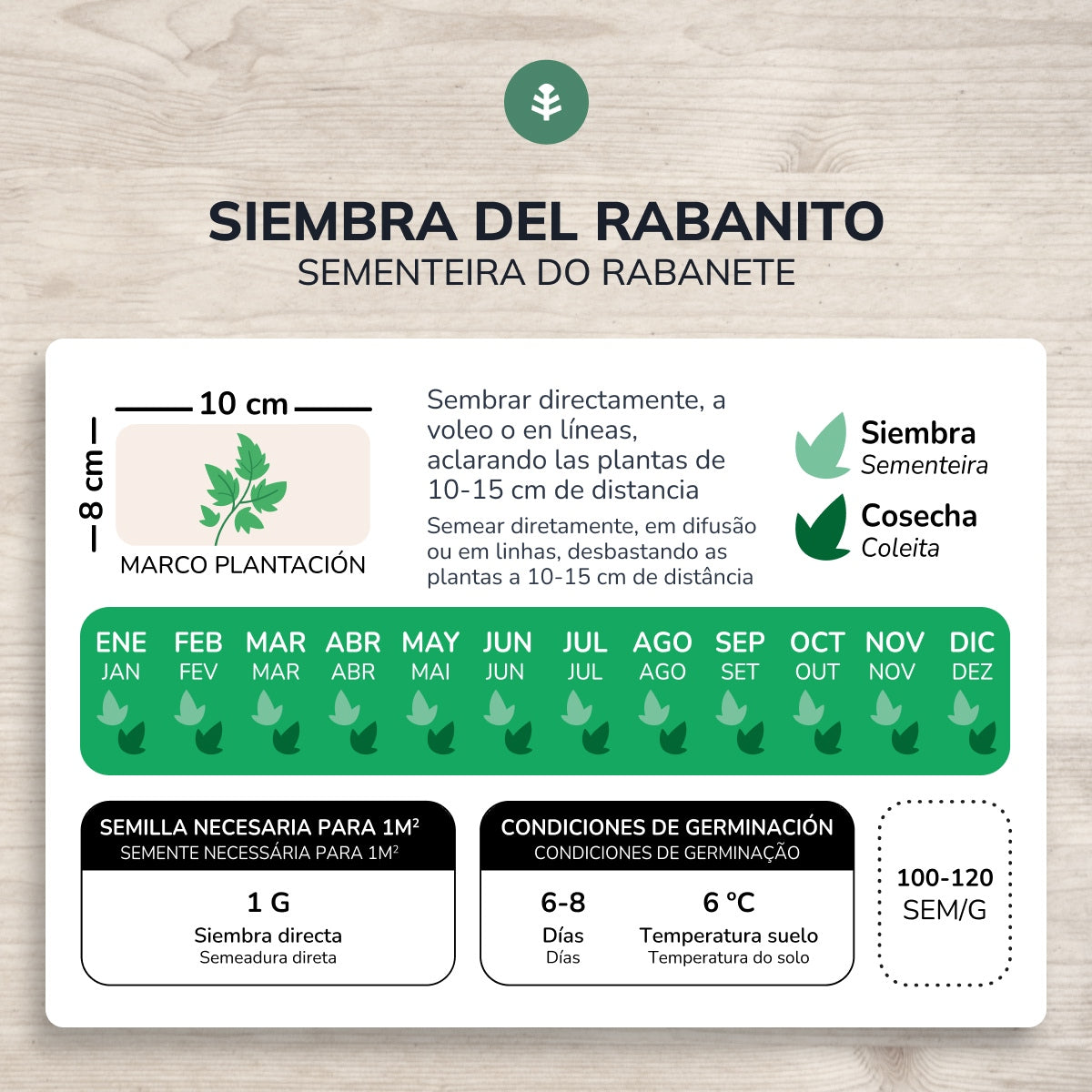 Semillas de Rabanito redondo rojo saxa ecológicas Planeta Huerto