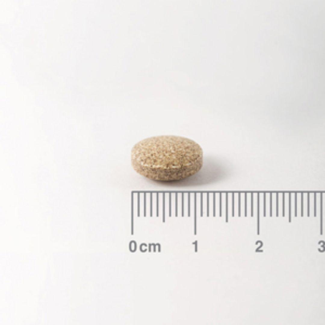 Ginkgo Biloba 6.000 mg, Lamberts 60 tabletten