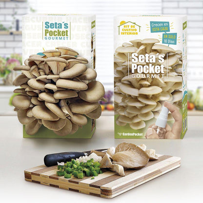Kit för att odla svamp Pocket Gourmet hemma, perfekt present Garden Pocket