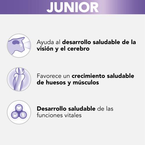 PRO PLAN Cat Kitten Turkey in Sauce 85 g