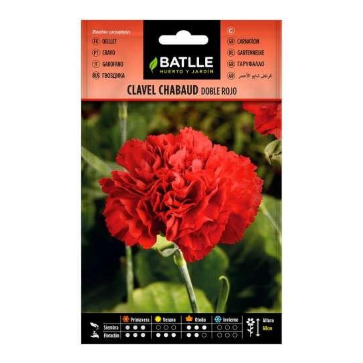 Samen für doppelte rote Nelken Batlle