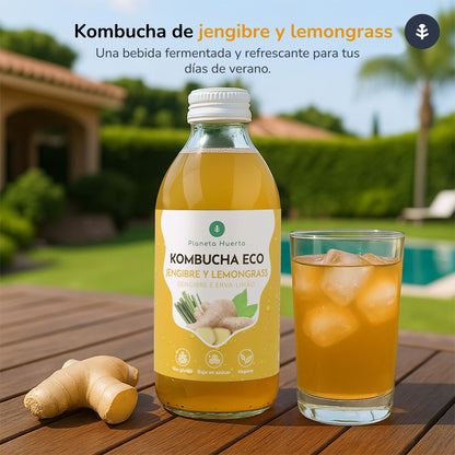 Pack 12x Kombucha ECO Jengibre y lemongrass Planeta Huerto 330 ml