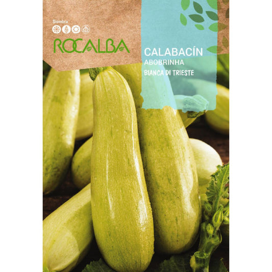 Graines de courgette bianca di trieste