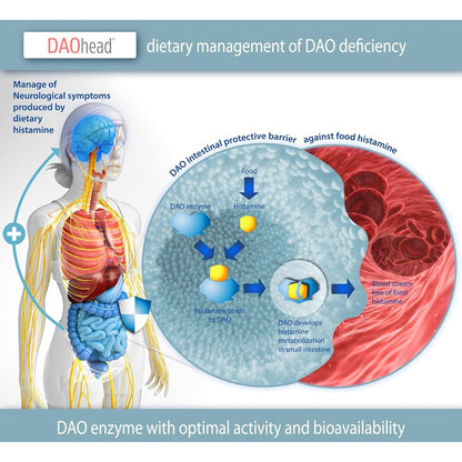 DAOhead® 60 cápsulas con comprimidos gastrorresistentes
