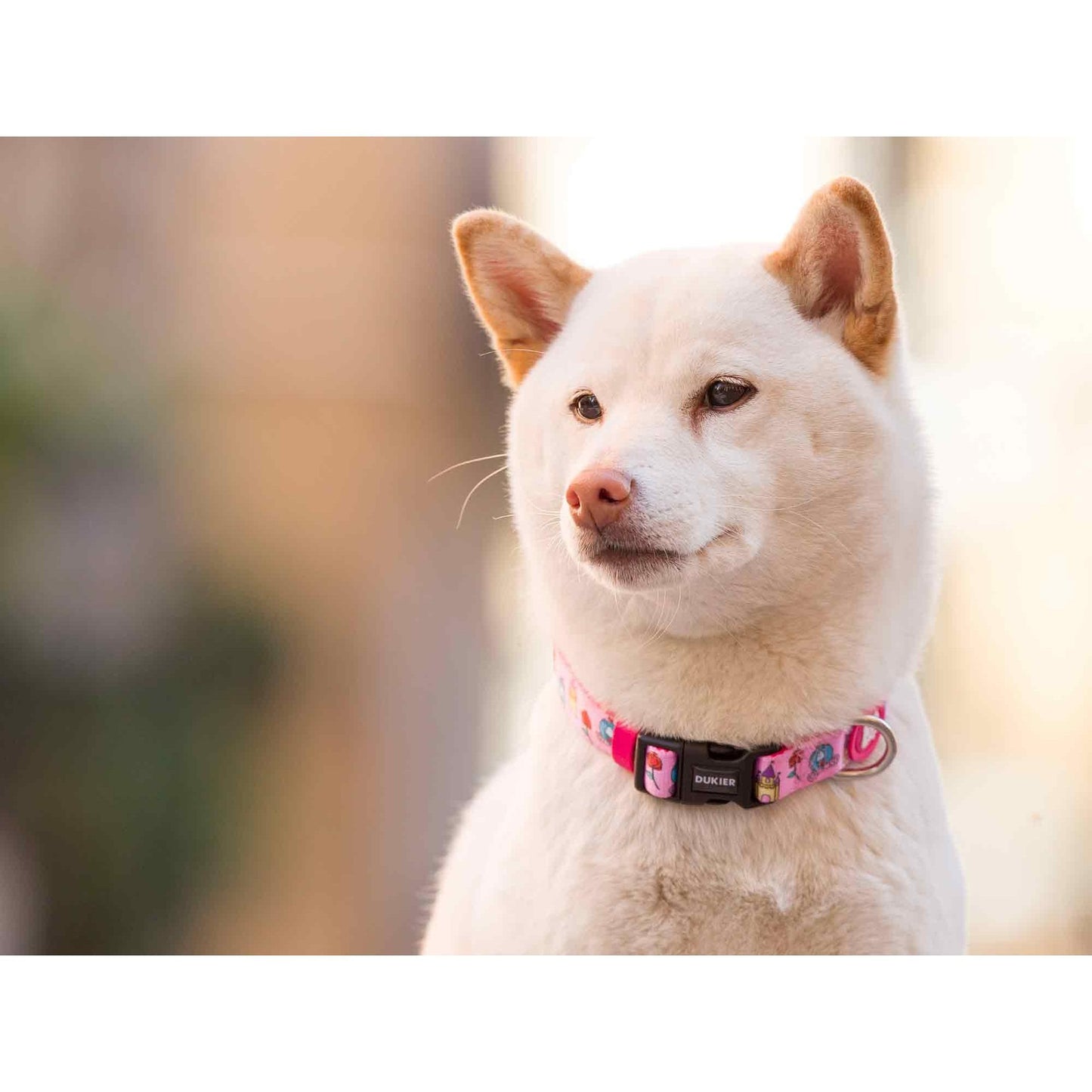 Obroża dla psa PRINCESS Dukier M