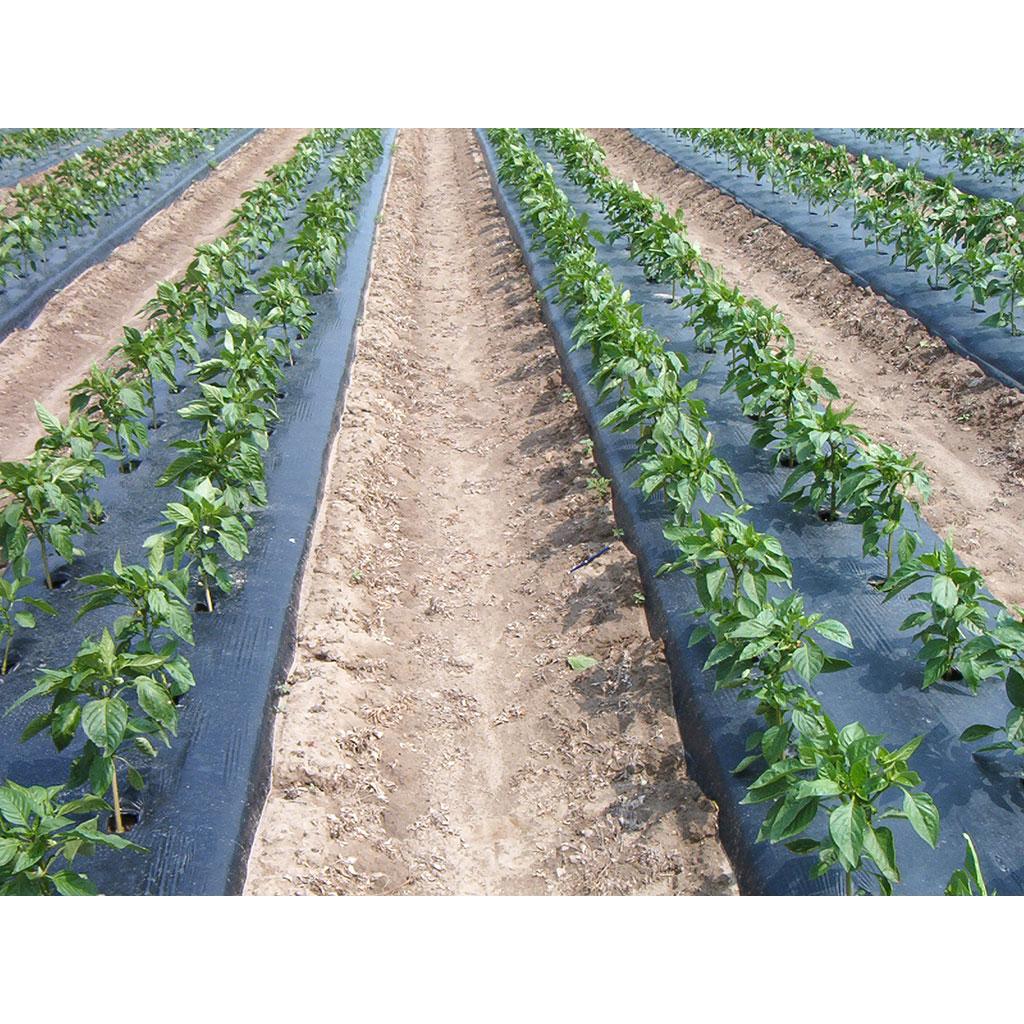 Faura micro-perforated film 1.4 x 10 m