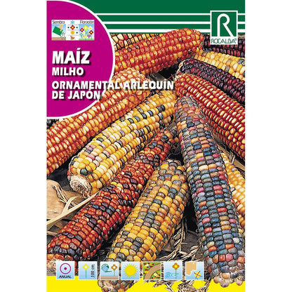 Semi di mais ornamentale arlecchino del Giappone