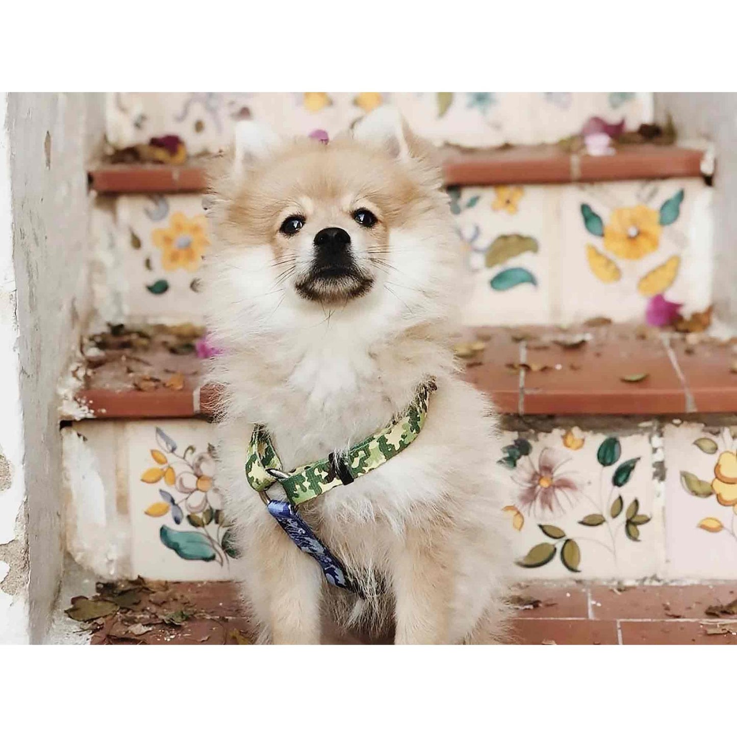 Klasyczna uprząż dla psa CAMO Dukier L