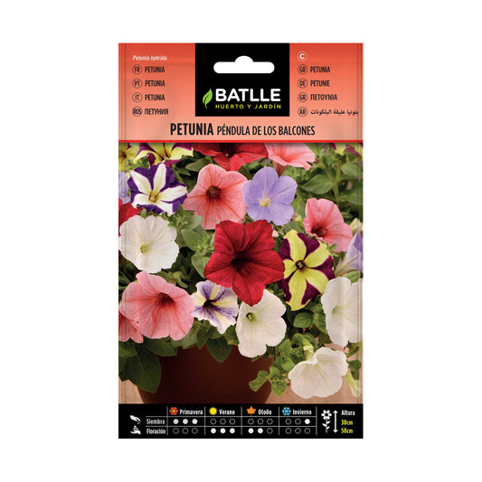 Graines de pétunia retombant pour balcons, assortiment Batlle