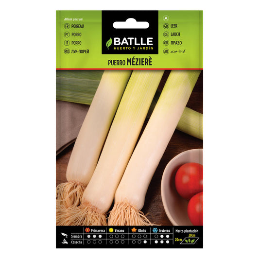 Graines de poireau long de Mézière Batlle