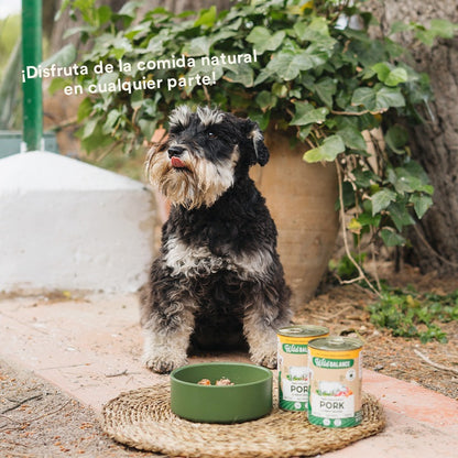 Barattolo di maiale e verdure BARF per cani Wild Balance 400 g