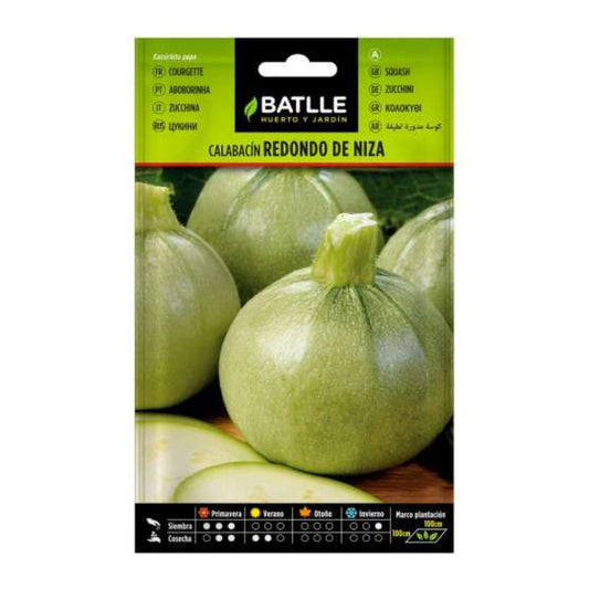Graines de courgettes rondes de Nice Batlle