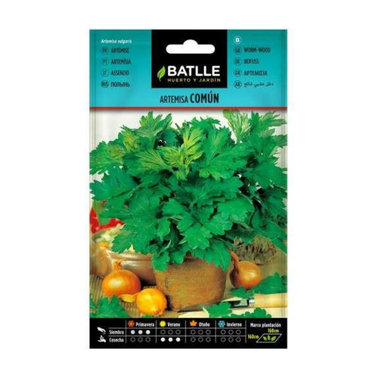 Nasiona bylicy pospolitej Batlle