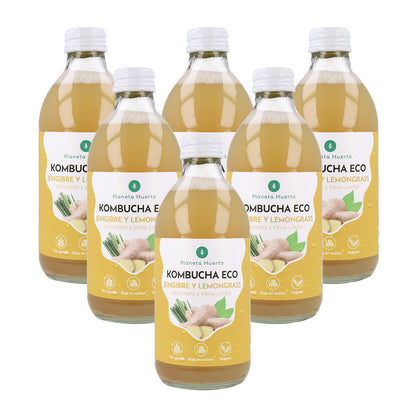 Opakowanie 6x Kombucha ECO Imbir i trawa cytrynowa Planeta Huerto 330 ml