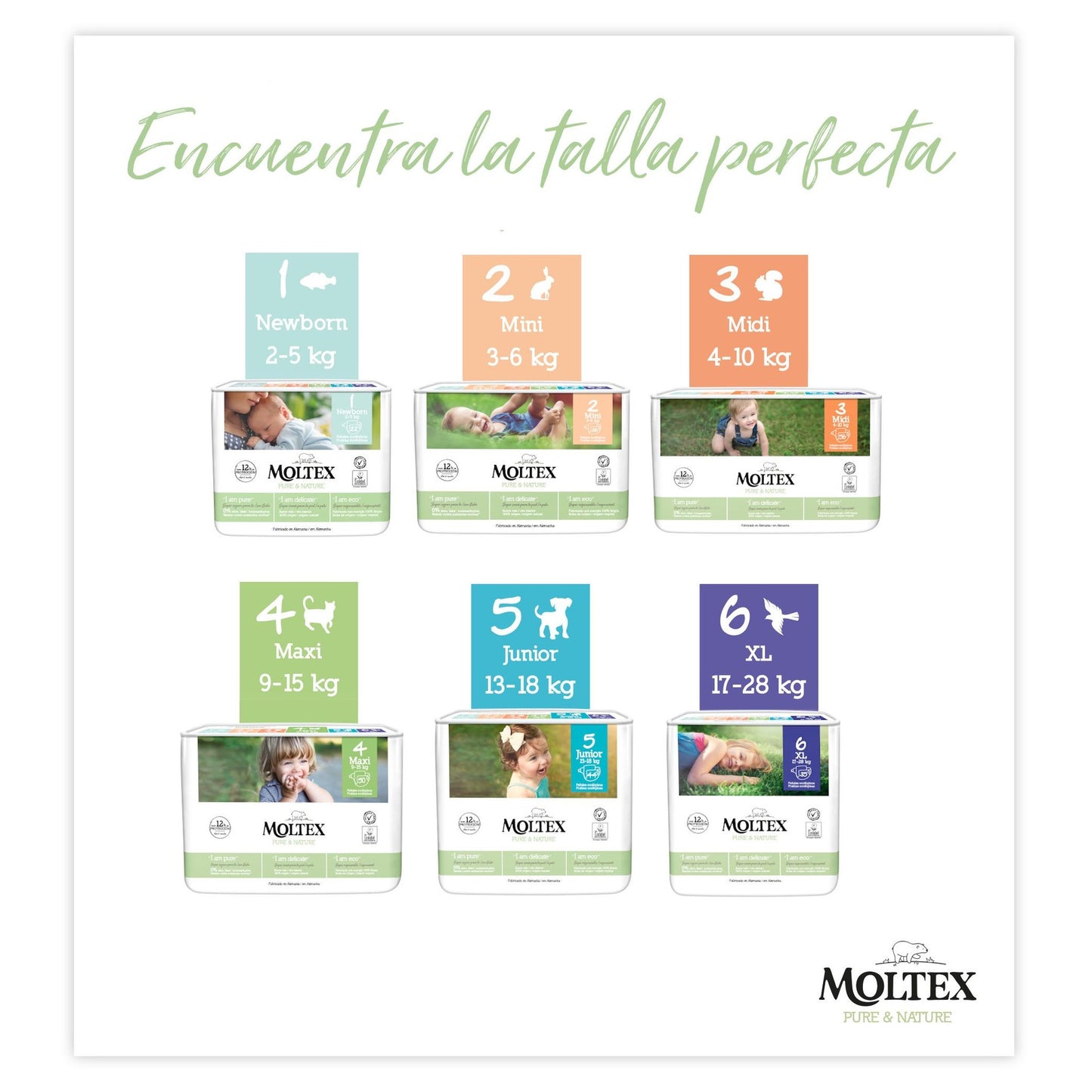 Voordelige verpakking luiers T2 (3-6 kg) Moltex Pure & Nature, 144 stuks