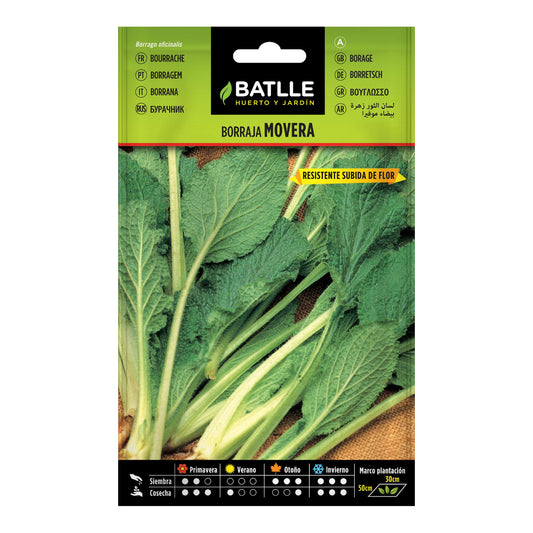 Graines de bourrache Movera Batlle