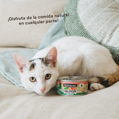 Dose BARF-Lachs und Rindfleisch für Katzen Wild Balance 120 g