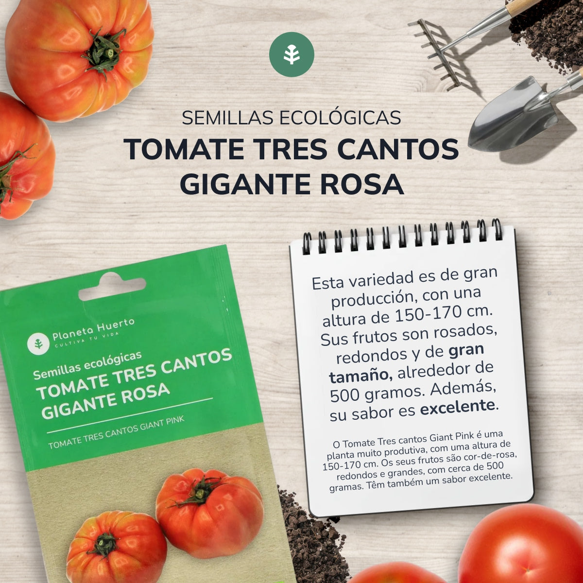 Semillas de Tomate tres cantos gigante rosa ecológicas Planeta Huerto