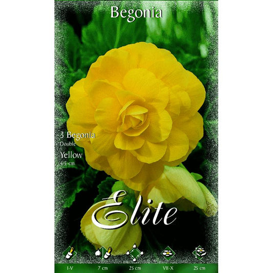 Begonia-lökar, dubbla gula, 3 st