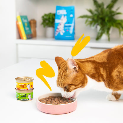 Fuktig kattmat i sås med kalkon- och kycklingbitar, Edgard & Cooper 85 g