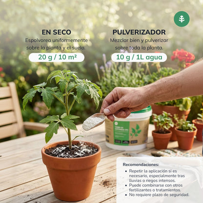 3er-Pack Kieselgur Planeta Huerto 2 kg