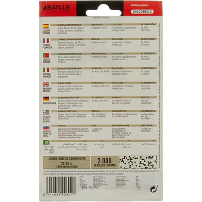 Graines de célosie plumeuse variée Batlle