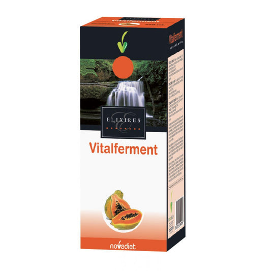 Vitalferment Papajasiroop 250 ml Novadiet