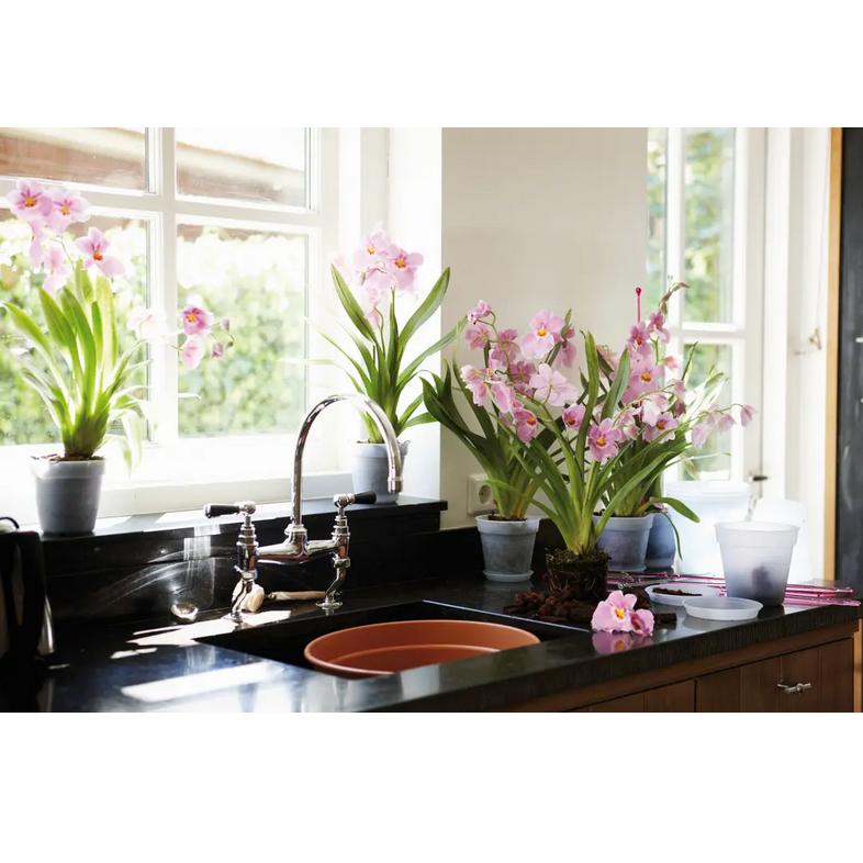 Orchideentopf Green Basics Elho 14 cm