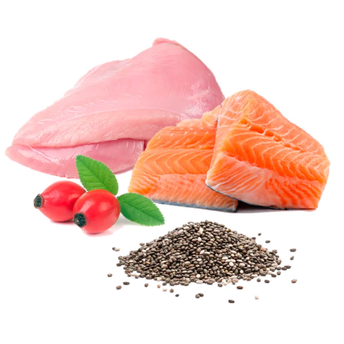 Barf våtfoder för katter Michi mimos BIO (kalkon och lax) Puromenu 100 g