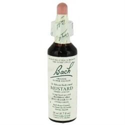 Bach 21 Mosterd 20 ml (mosterd) Bach