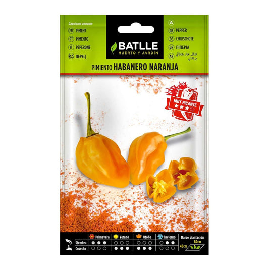 Graines de piment Habanero orange Batlle