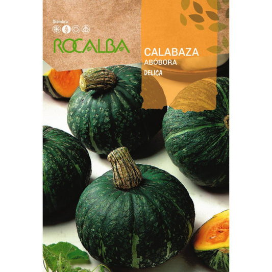 Graines de courge Delica
