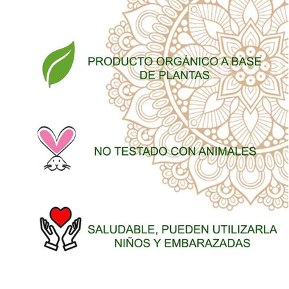 Radhe Henna Powder Tattoo 50 g