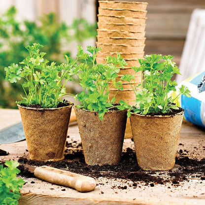 Planteuse ronde en fibre pour lits de semences Planeta Huerto 24 unités