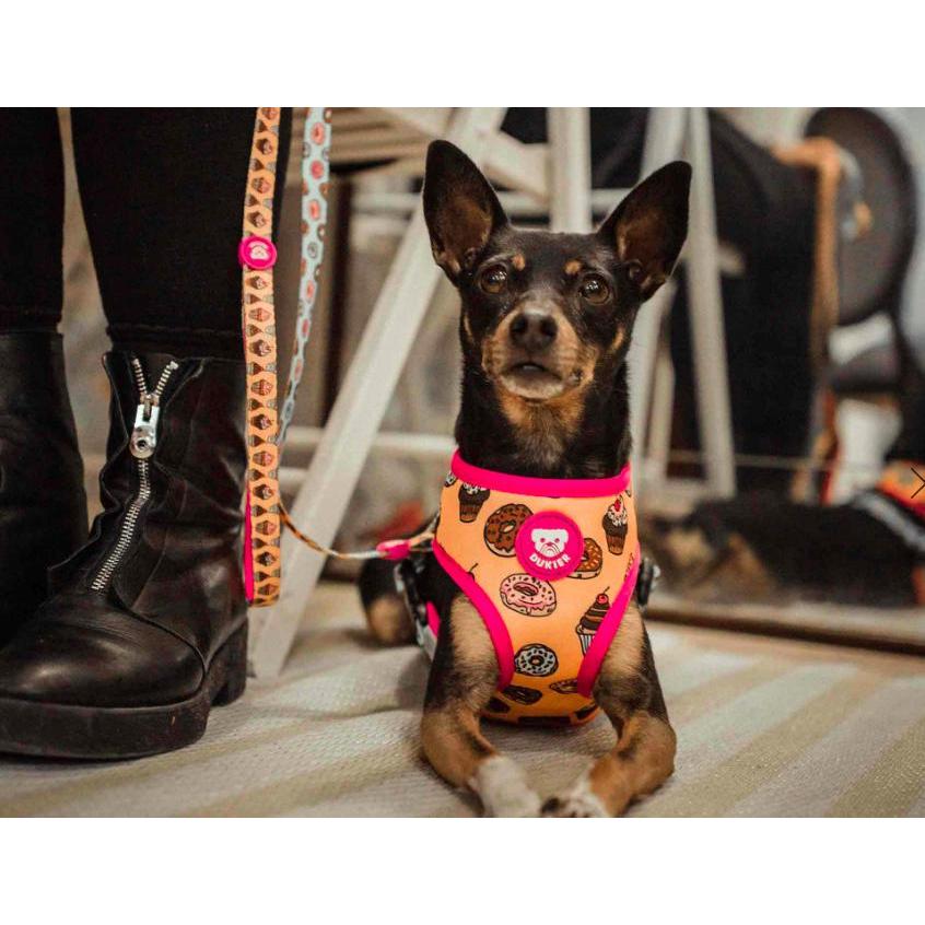 Odwracalna uprząż dla psa CUPCAKES Dukier L