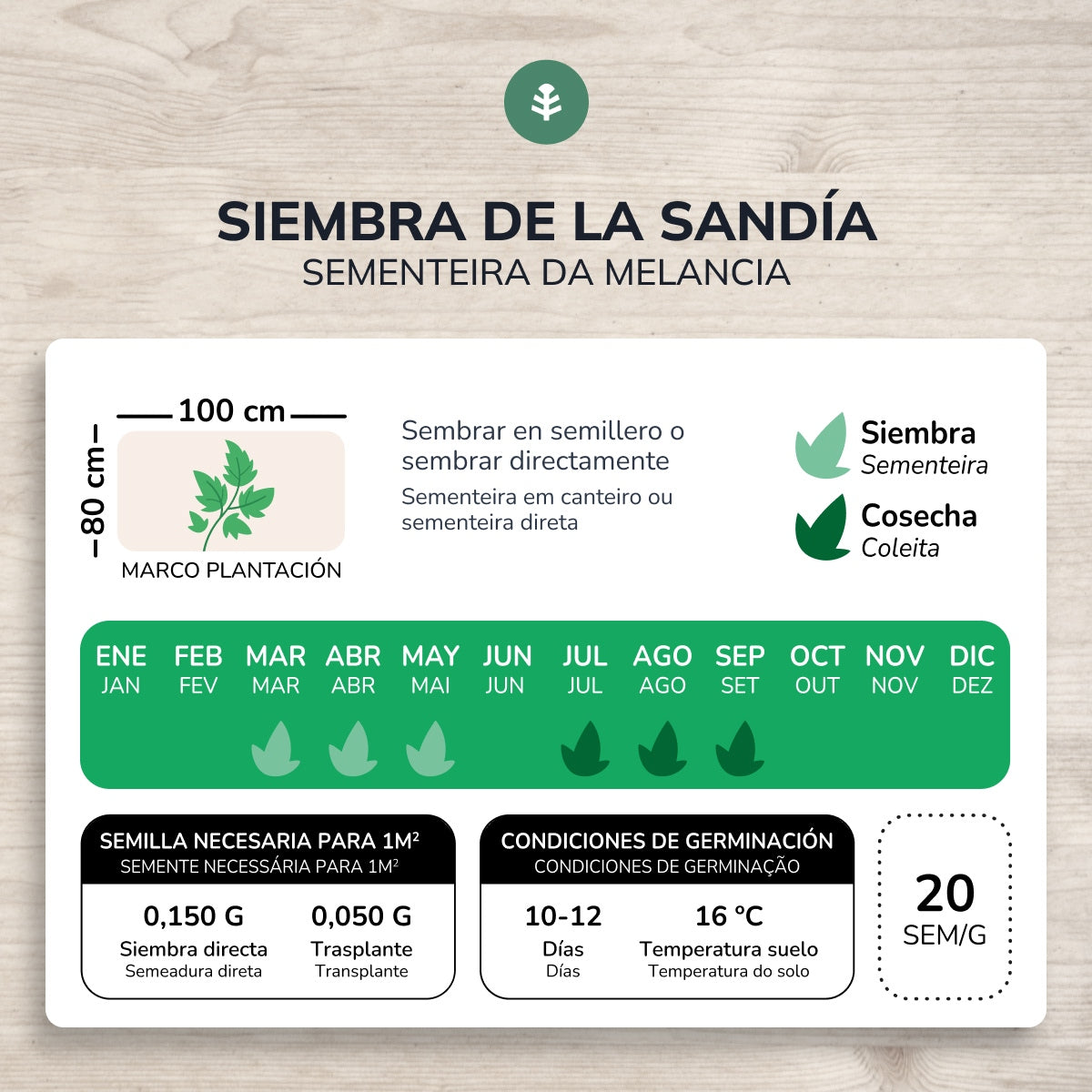 Pastèque douce cramoisie bio graines Planeta Huerto
