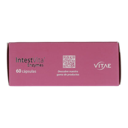 IntestVita Enzymen 15 capsules
