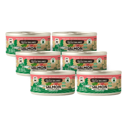 Pack de boîtes de saumon et de veau BARF pour chats 6 x 120 g Wild Balance