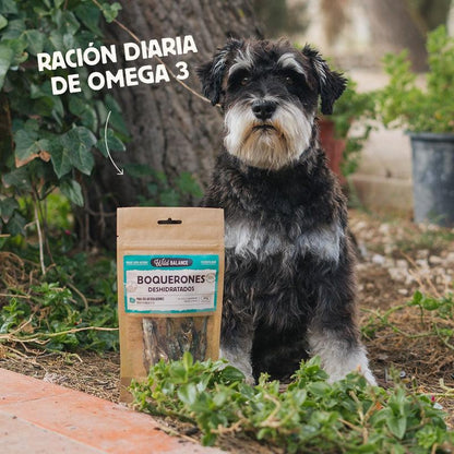 Snack natural Boquerones Deshidratados Wild Balance 40 g