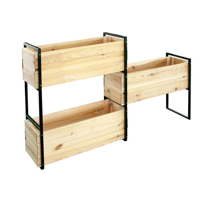 Doniczka Blakea 3 przegródki