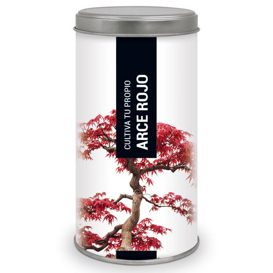 Kit regalo per coltivare il tuo acero rosso in casa, Garden Pocket