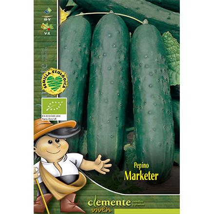 Graines de concombre Marketer Clemente