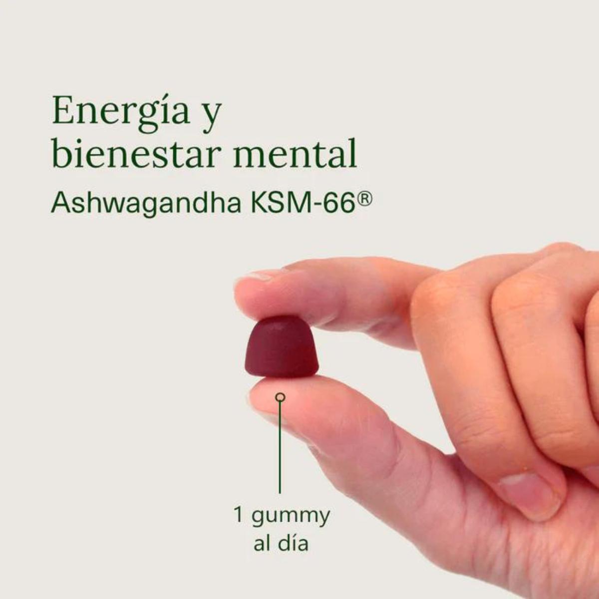 Ashwagandha in caramelle gommose al gusto di ciliegia Aldous Bio 120 caramelle gommose